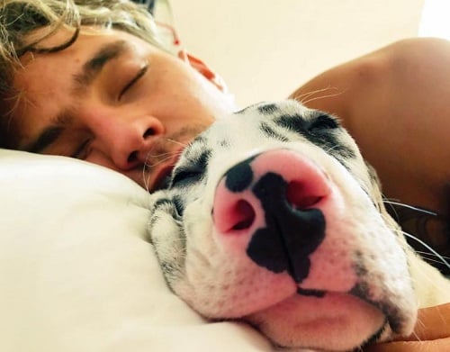 Sebastián Arias with his pet dog