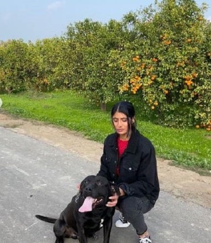 Shahneel Gill with a dog