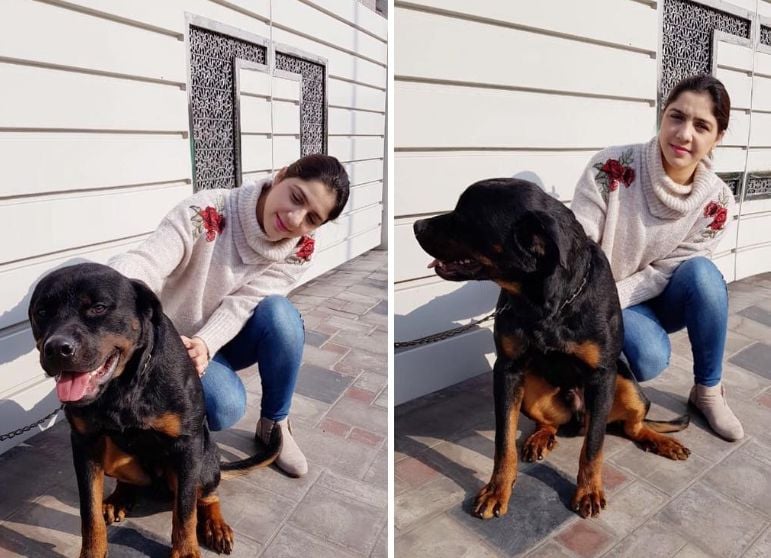 Shajiaa Niazi with her pet dog