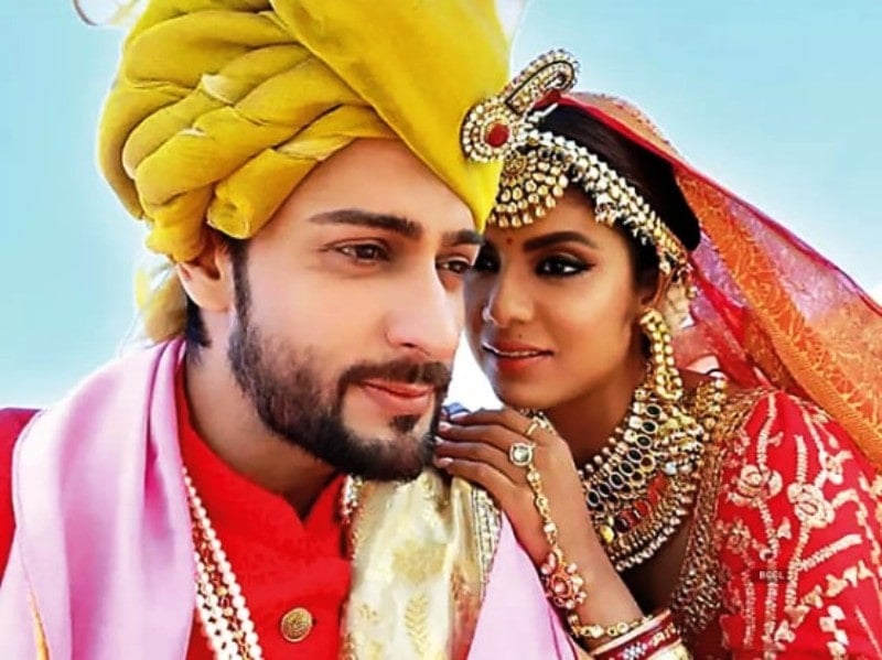 Shaleen Bhanot in the TV serial Naagin 4: Bhagya Ka Zehreela Khel