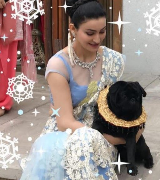 Shalini Passi with her pet