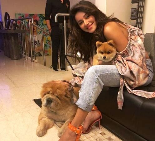 Shibani Dandekar Playing With Her Pets