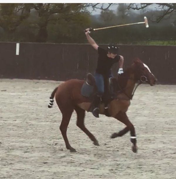 Shikhar Pahariya riding a horse
