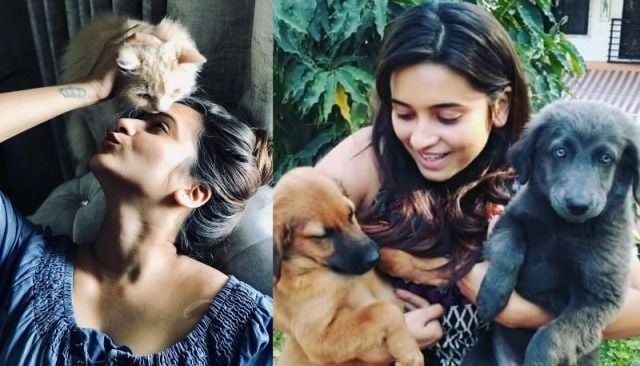 Shivani Surve loves pets