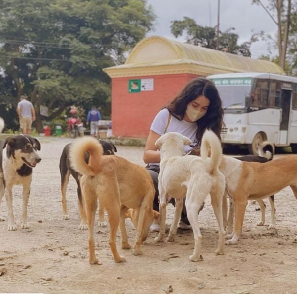 Shristi while feeding the street dogs