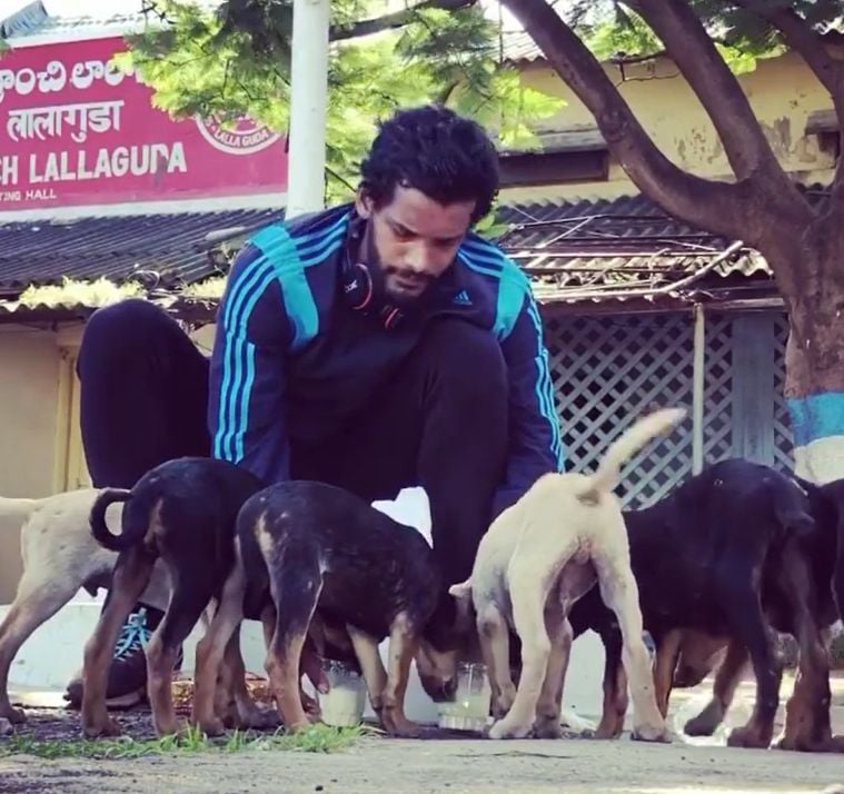 Siddharth feeding stray dogs