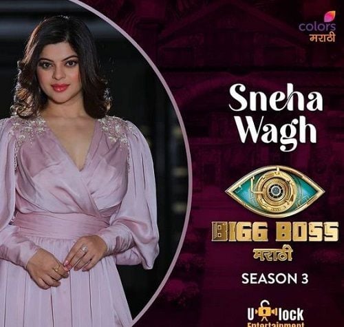 Sneha Wagh in Bigg Boss Marathi season 3
