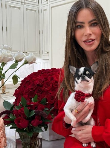 Sofía Vergara with her pet dog