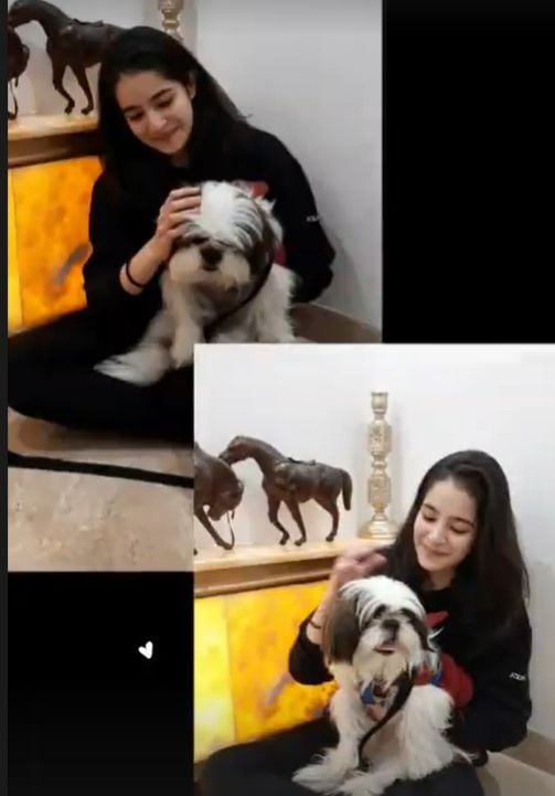 Suhani Sethi with her pet dog