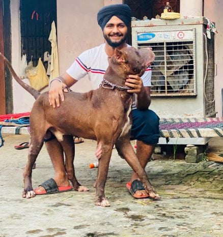 Surinder Singh playing with a dog