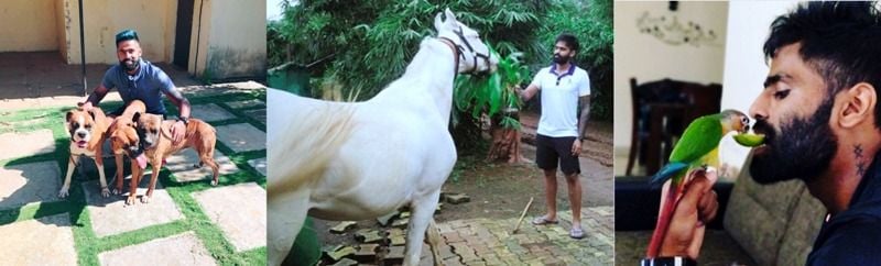 Suryakumar Yadav, an avid animal and bird lover