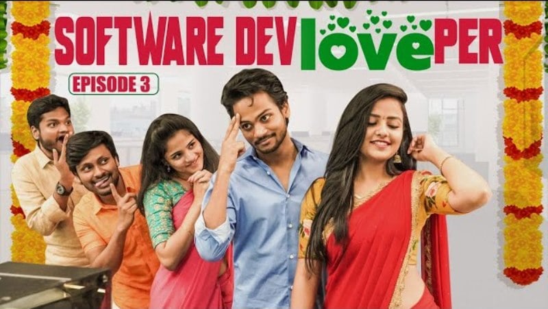 The Software Devloveper (2020)