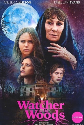 The Watcher in the Woods