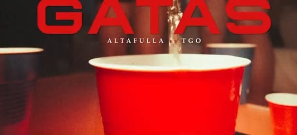 The poster of the song Gatas