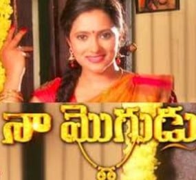 The poster of the television serial 