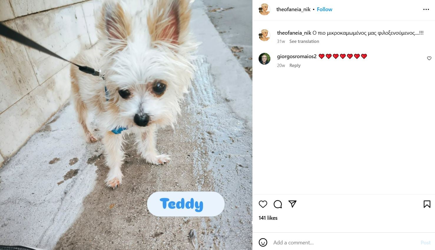 Theophania Nikolaidis