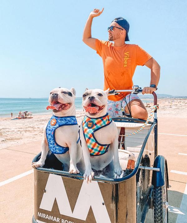 Tiago Rufino with his pet dogs