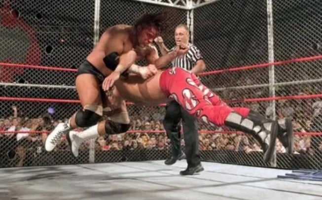 Triple H performing his signature move Pedigree on Shawn Michaels during the Hell In A Cell match