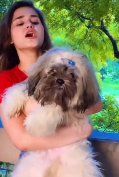 Unnati Tomar with a Shih Tzu dog