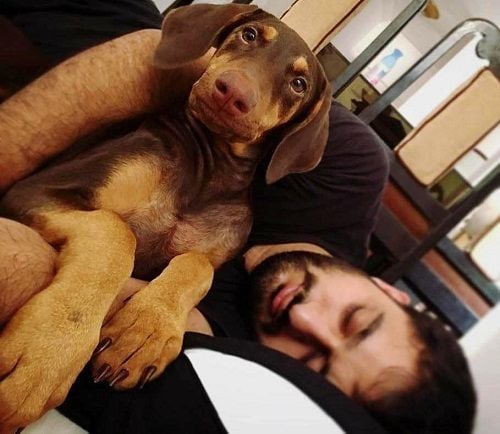 Veer Rajwant Singh loves dogs