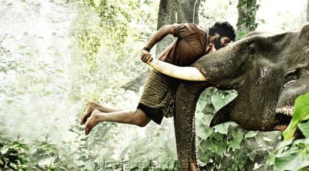 Vikram Prabhu with an elephant in a still from the film Kumki in 2012