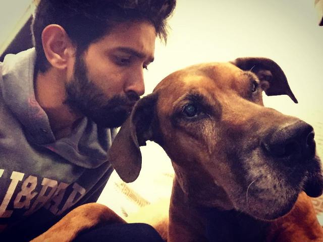 Vikrant Massey loves dogs