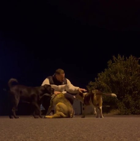 Xum Allushi with his pets