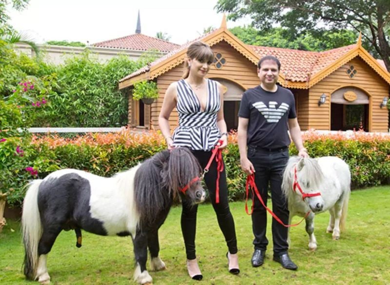 Yohan Poonawalla and his wife along with their Shetland ponies