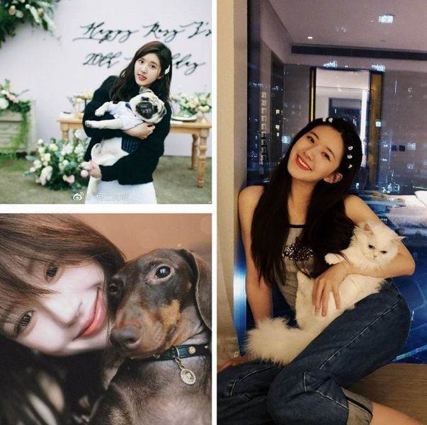 Zhao Lusi with her pets